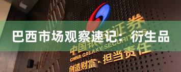 巴西市场观察速记：衍生品