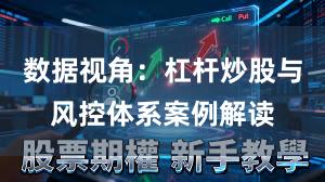 数据视角：杠杆炒股与风控体系案例解读